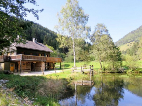 Chalet Fischerhütte - STN100